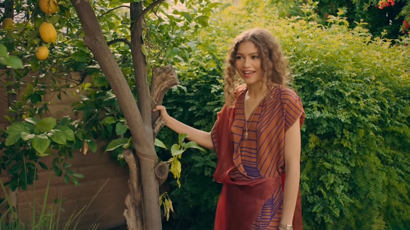 La respuesta es: el día a día de Zendaya.